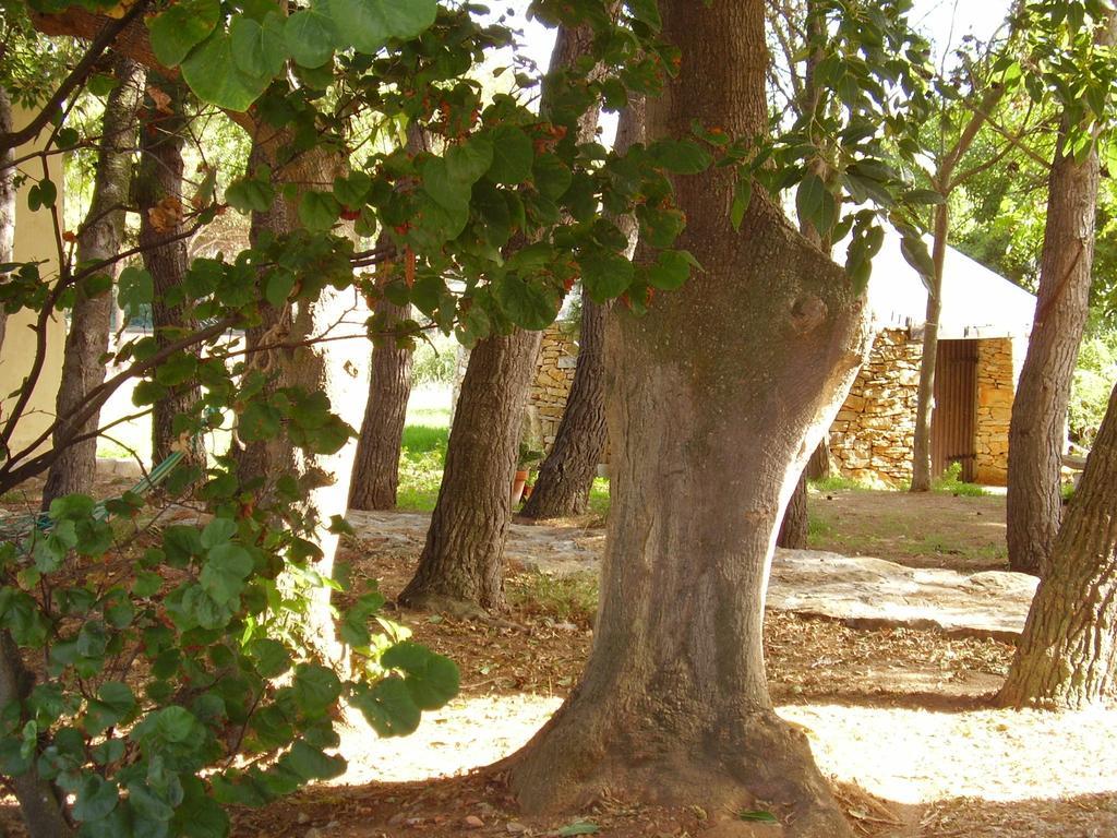Agriturismo Cuile De Molino Porto Torres Exterior photo