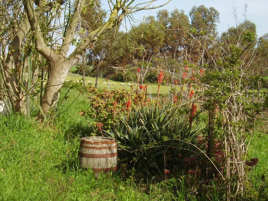 Agriturismo Cuile De Molino Porto Torres Exterior photo